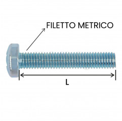 Vis transversale galvanisée à tête ronde encastrée 3x25 - Lot de 1000 pièces. Vis à tête cylindrique 02082684 DHM