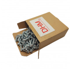 Galvanized 3x30 cross recessed round head screw - Pack of 1000 pieces Pan head screws 02082685 DHM