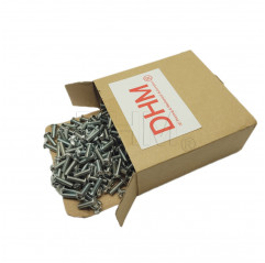 Galvanized 3x35 Allen recessed round head screw - Box of 50 pieces Pan head screws 02082864 DHM