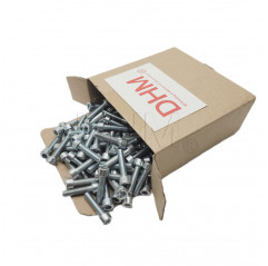 Galvanized 10x80 socket head cap screw - Pack of 100 pieces Cylindrical head screws 02082372 DHM