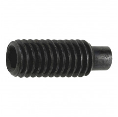 Grain with hexagon socket M3x5 cylindrical tip - steel headless screw Grains 02083341 DHM