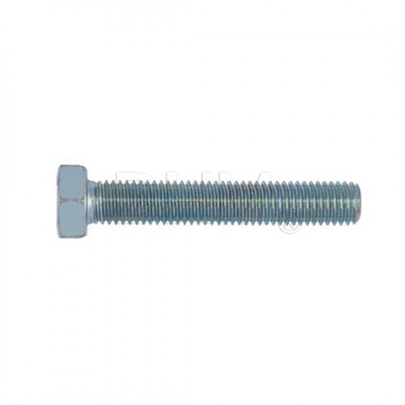 Hexagon head screw with galvanized full thread 10x120 Hex head screws 02080260 DHM