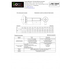 Countersunk flat head screw with galvanized socket 6x80 Countersunk flat head screws 02080351 DHM