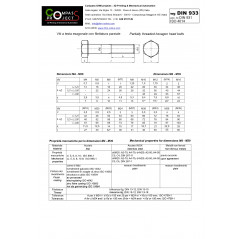 Vite 6x70 testa esagonale con filettatura parziale zincata Viti a testa esagonale02080444 DHM