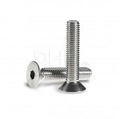 Stainless steel countersunk flat head screw with Allen recess 4x6 Countersunk flat head screws 02080905 DHM