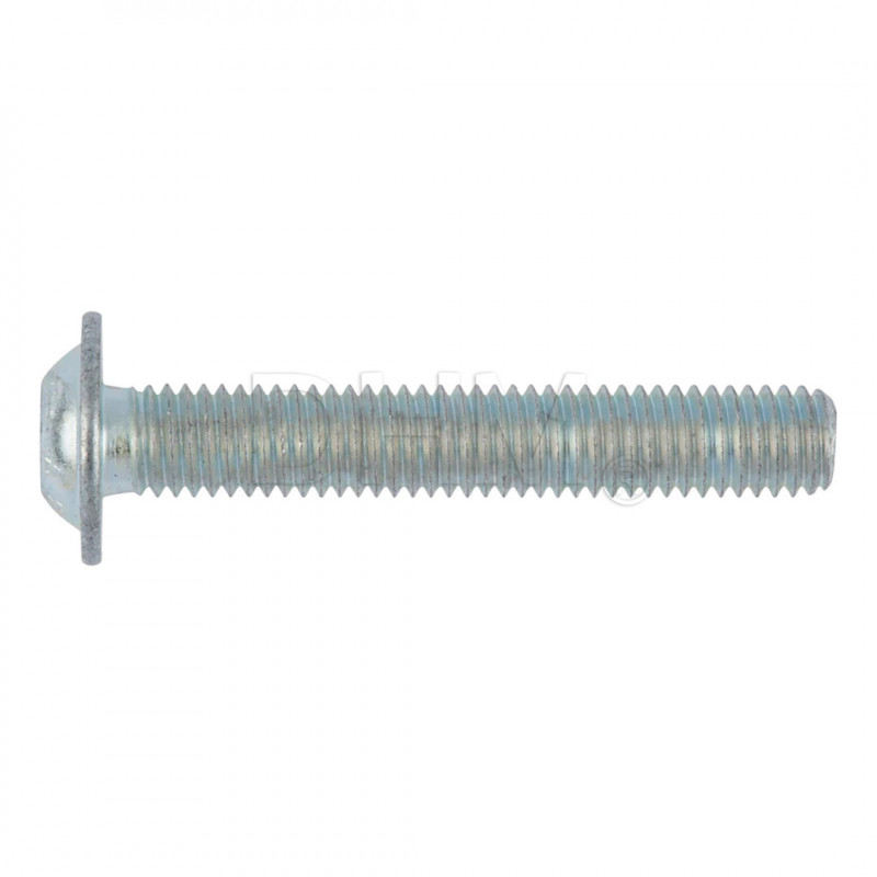 Tornillo autoperforante S8x25 zincado torx - para perfil serie 6 hueco 8mm Serie 6 (ranura 8) 14090167 DHM