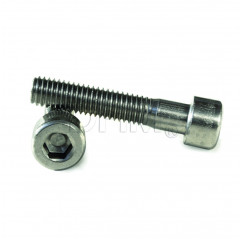 4x20 lowered cylindrical head screw with stainless allen socket Cylindrical head screws 02083723 DHM