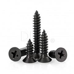 M2x6 mm Countersunk Flat Head Self Tapping Screw with Black Cross Recess Countersunk flat head screws 02083724 DHM