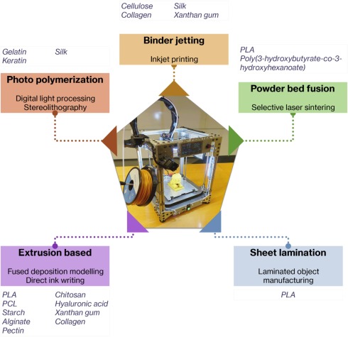 © https://doi.org/10.1016/j.pmatsci.2024.101336