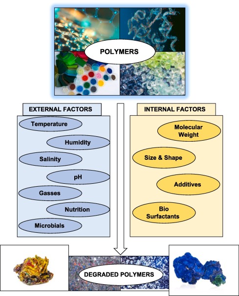 © https://doi.org/10.1016/j.pmatsci.2024.101336