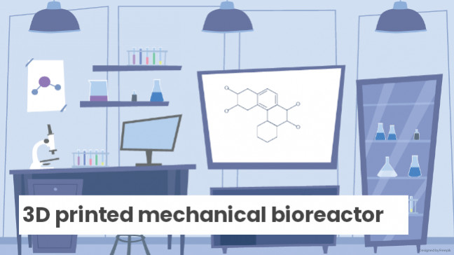 Bioreattore Meccanico Stampato in 3D per l'Investigazione della Meccanobiologia 